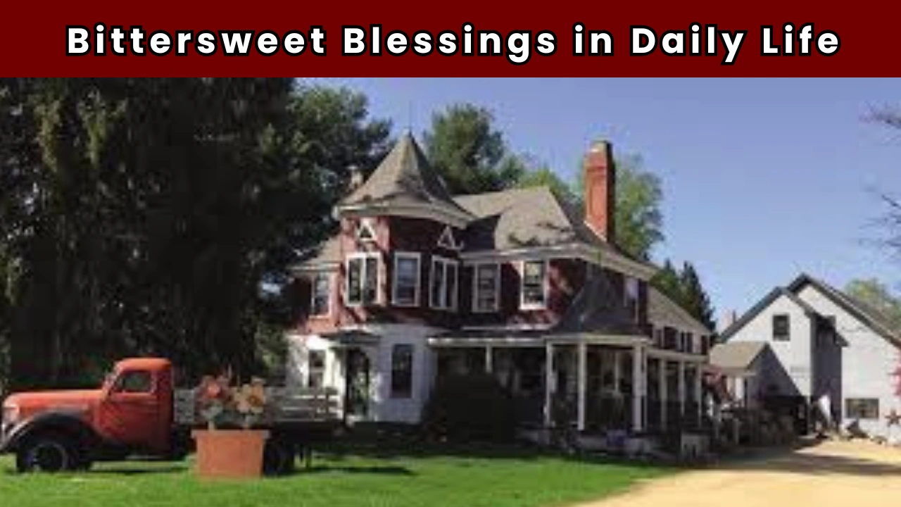 Bittersweet Blessings in Daily Life
