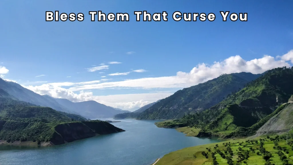 Bless Them That Curse You