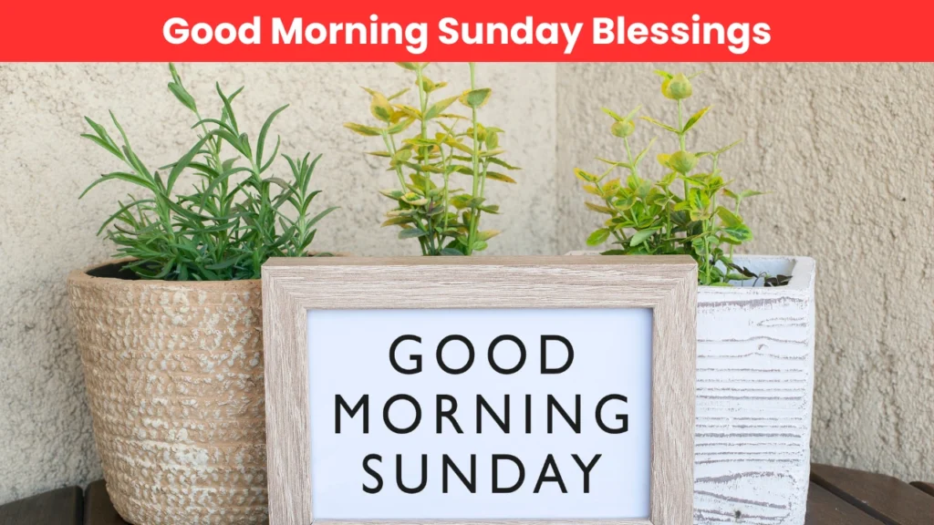 Good Morning Sunday Blessings