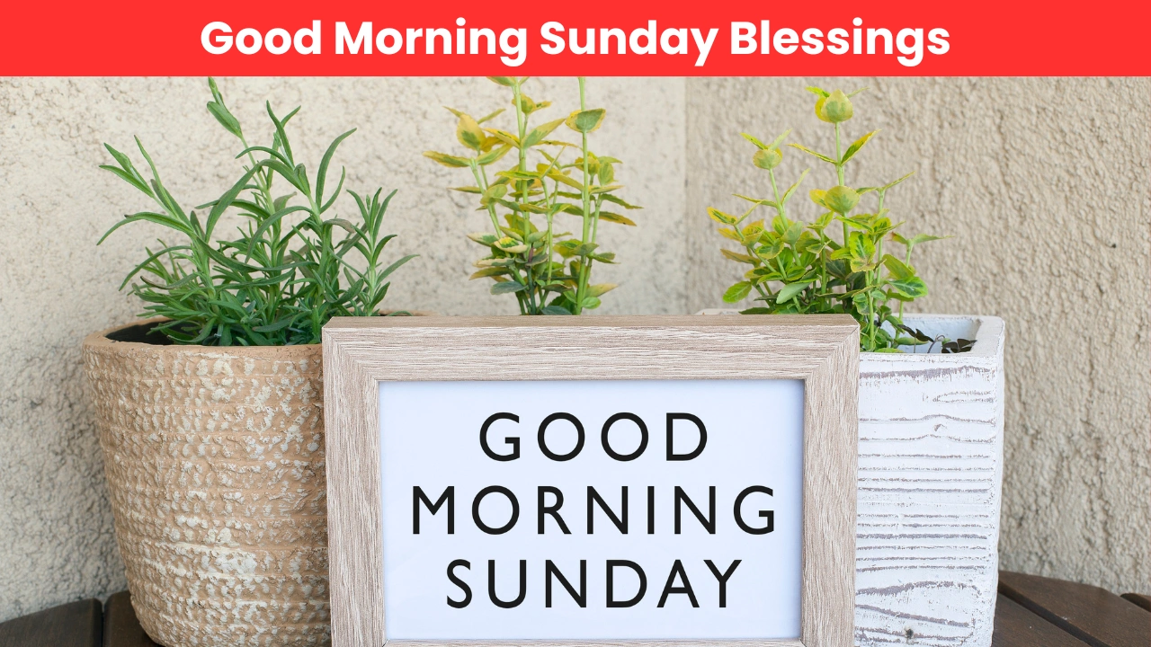 Good Morning Sunday Blessings That Brighten Your Morning