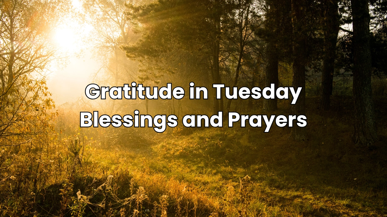 Gratitude in Tuesday Blessings and Prayers