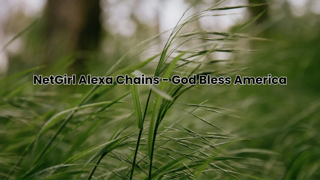 NetGirl Alexa Chains - God Bless America