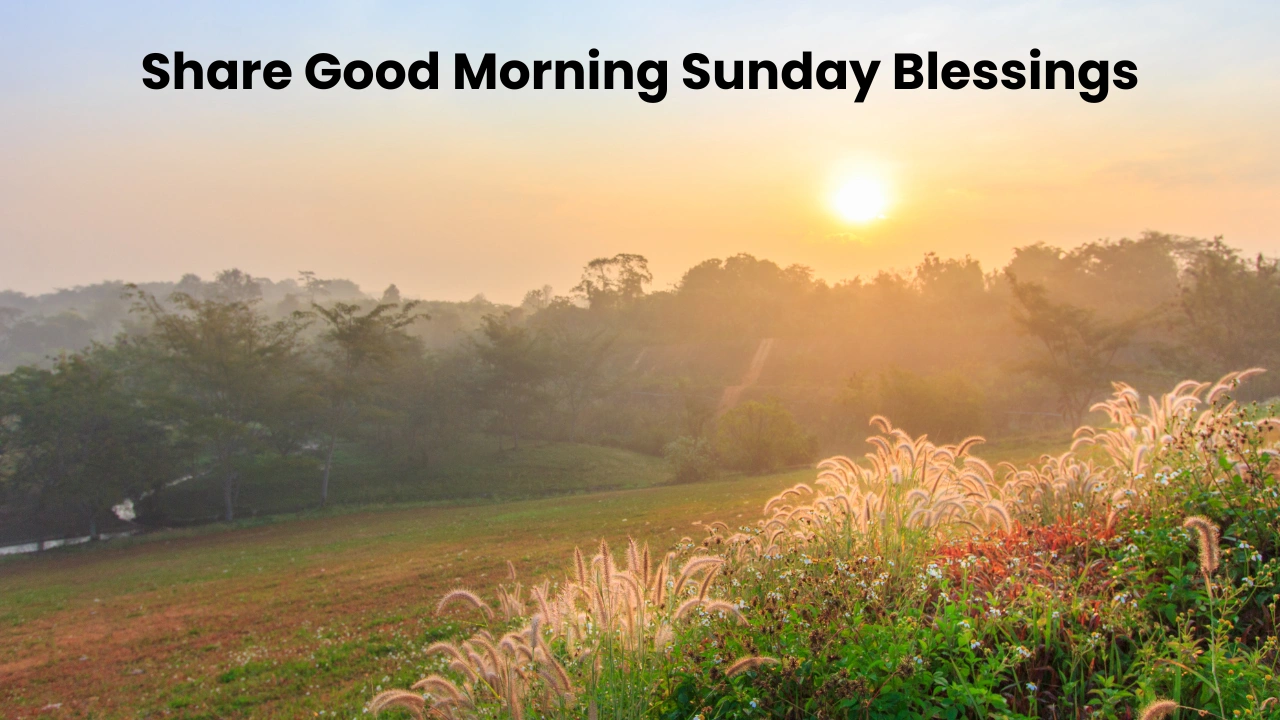 Share Good Morning Sunday Blessings