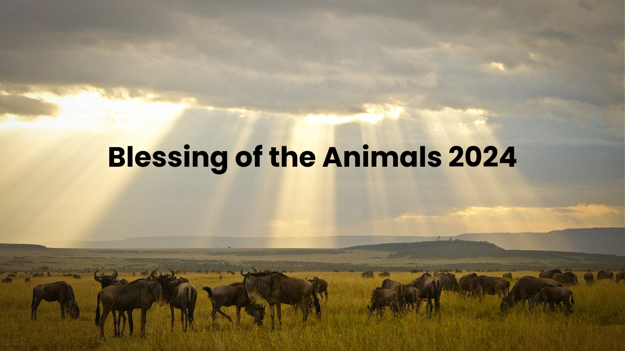 Blessing of the Animals 2024 Matters for Pet Owners