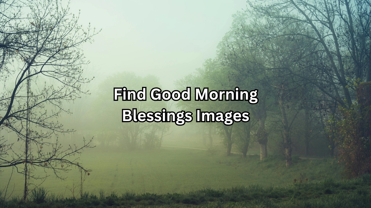 Find Good Morning Blessings Images