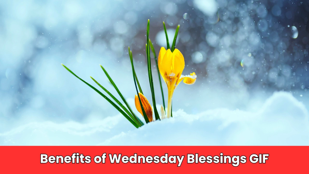 Benefits of Wednesday Blessings GIF