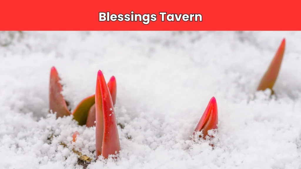 blessings tavern