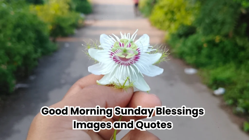 good morning sunday blessings images and quotes