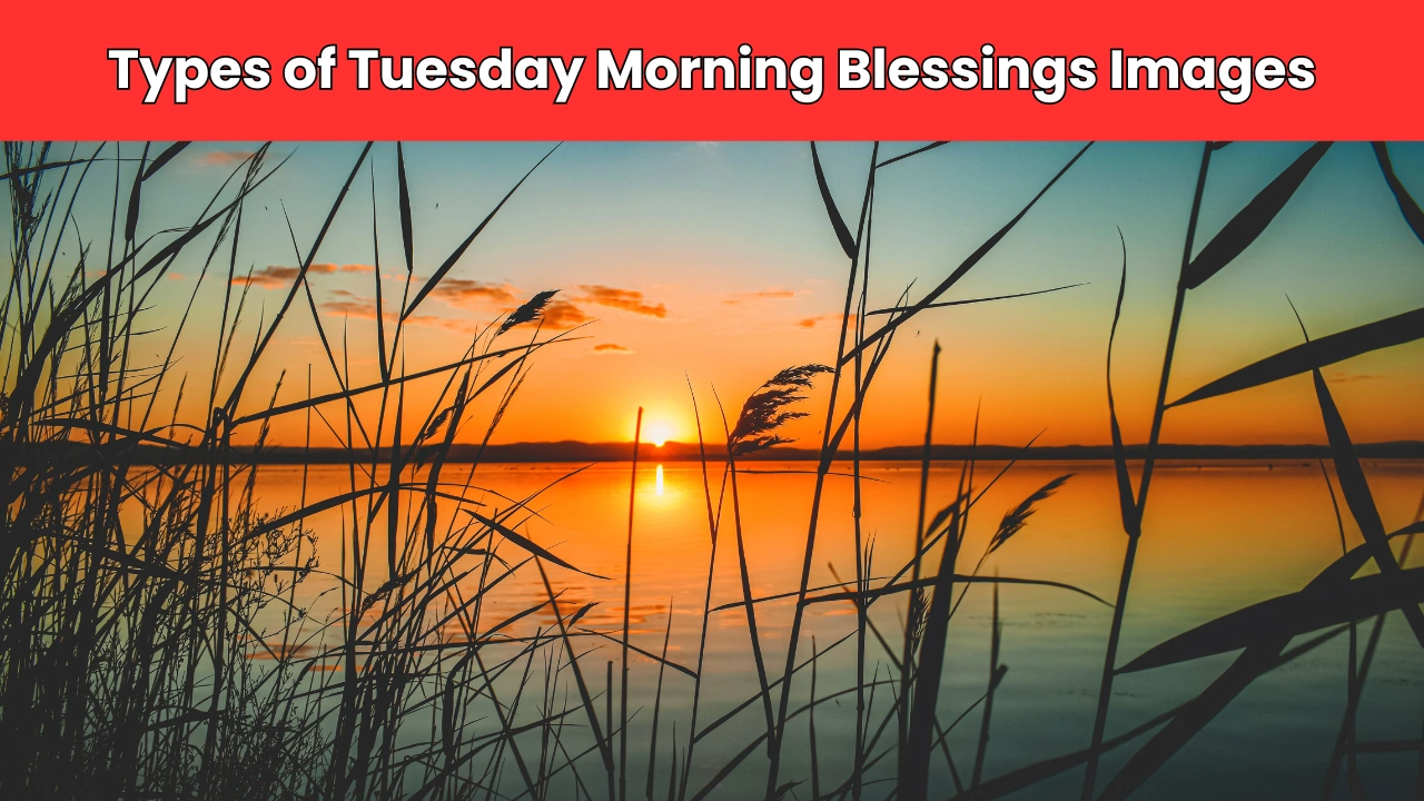 Types of Tuesday Morning Blessings Images