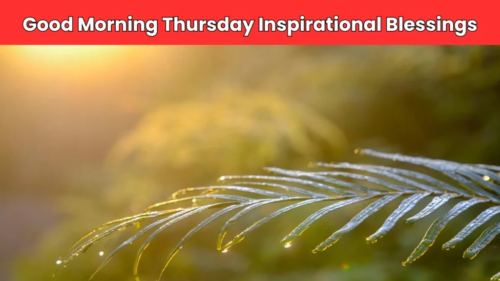 good morning thursday inspirational blessings