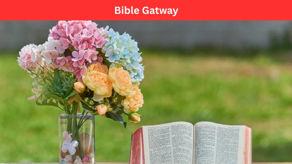 Bible Gatway