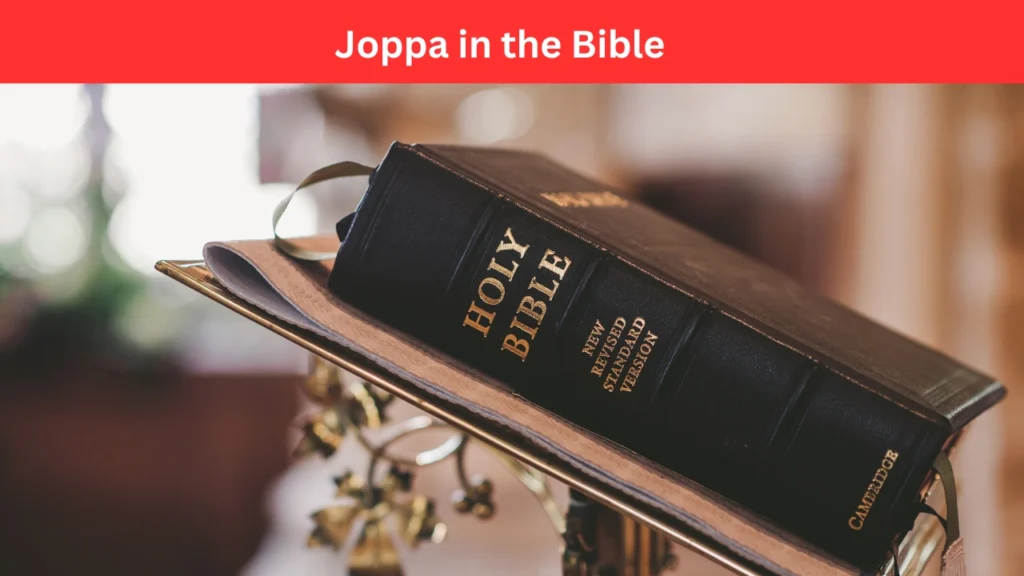 joppa in the bible