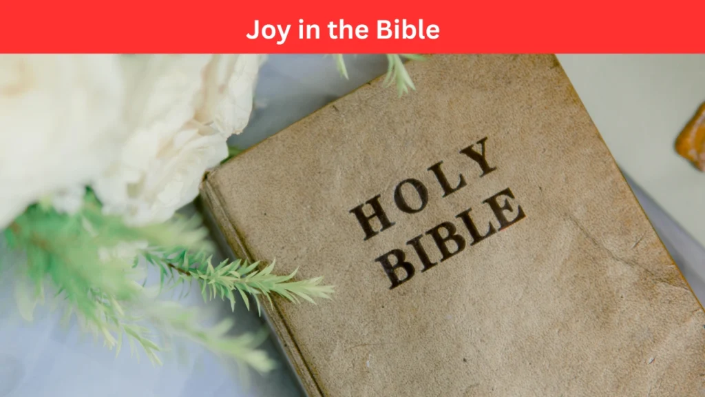 joy in the bible
